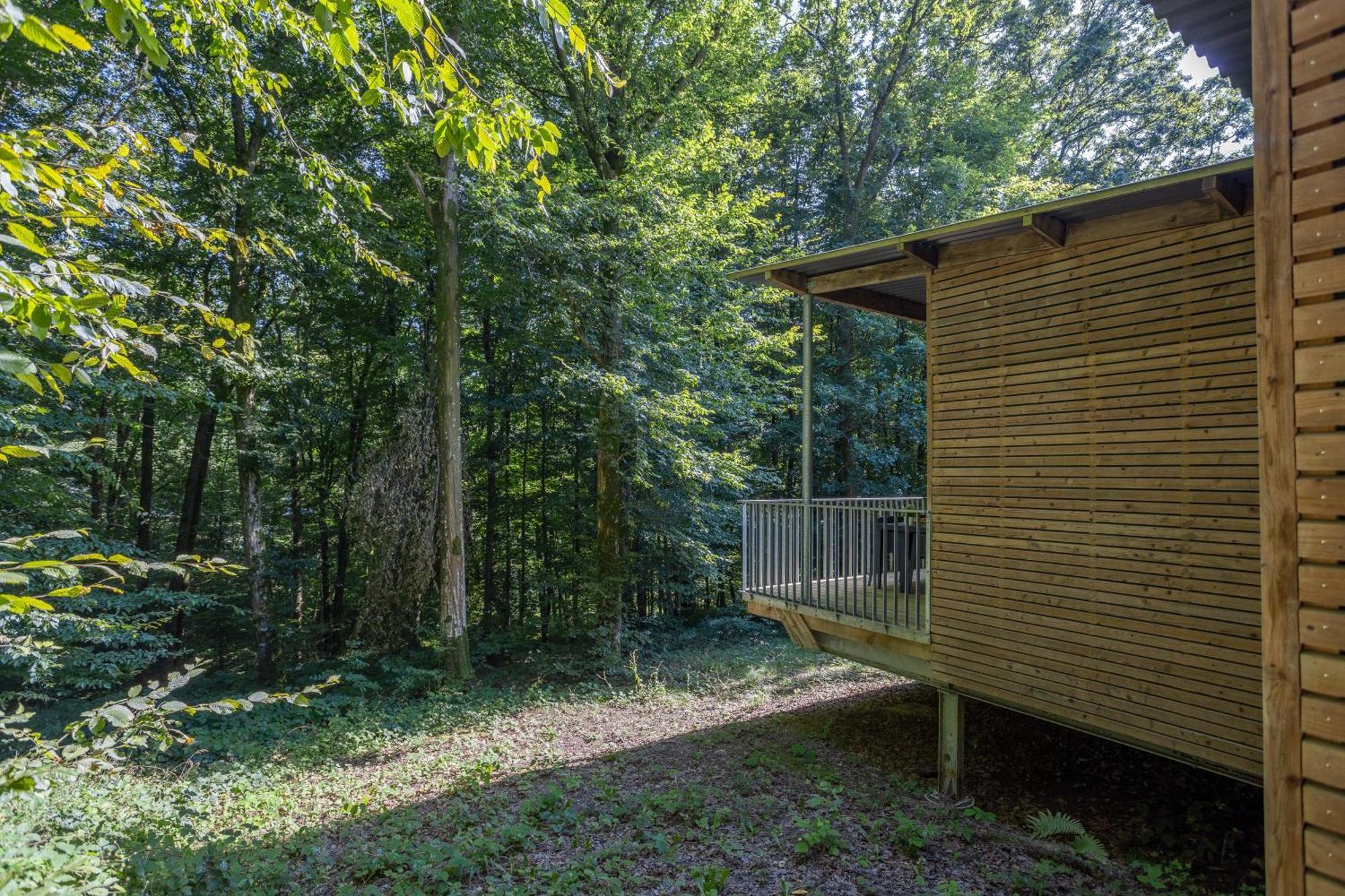 Les Charmes C40B - Le Val Joly Vila Eppe-Sauvage Exterior foto